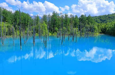 白金青い池の画像
