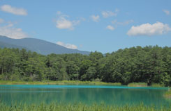 五色沼の様子の画像