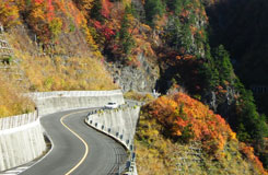 白山白川郷ホワイトロードの画像